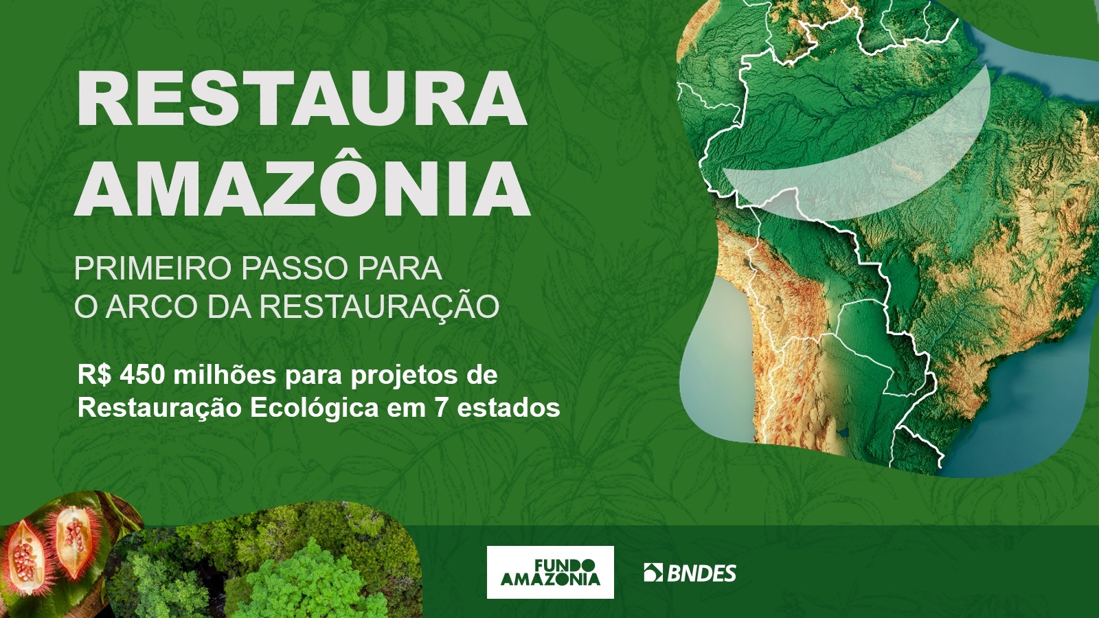 Restaura-Amazonia-Identidade-Visual-sem-marcas Restaura-Amazonia-Identidade-Visual-sem-marcas